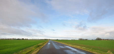 Rural road through the agricultural plowed field and forest at sunset. Electricity power line. Autumn, early winter. Panoramic landscape. Nature, ecology, countryside living, remote placesの写真素材