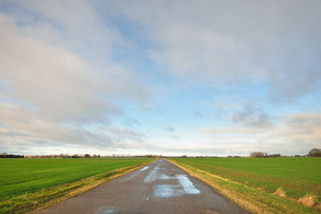 Rural road through the agricultural plowed field and forest at sunset. Electricity power line. Autumn, early winter. Panoramic landscape. Nature, ecology, countryside living, remote placesの写真素材