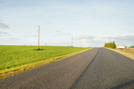 Rural road through the agricultural plowed field and forest at sunset. Electricity power line. Autumn, early winter. Panoramic landscape. Nature, ecology, countryside living, remote placesの写真素材