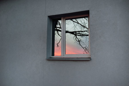 Tree branches and glowing red clouds, reflections in a window glass. Winter sunset. Concept landscape. Building exterior, remote places, environmental conservation concepts. Panoramic imageの写真素材