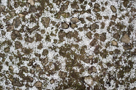 Snow-covered dry golden and brown autumn leaves. Crystal white hoarfrost. Natural texture, background. graphic resources. Winter, climate change, ecology, nature conceptsの写真素材