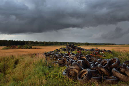 A landfill of tires using for the reinforcement of agricultural structures with fertilizers. Concept...