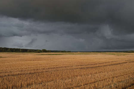 Dramatic sky, dark clouds above the plowed agricultural field and forest. Rural scene. Atmospheric...