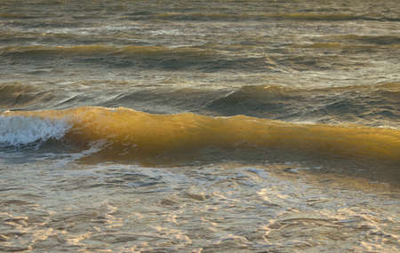 Baltic sea shore after the storm. Sunset, soft golden sunlight. Water surface texture, crashing...