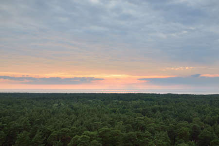 Breathtaking panoramic aerial view of the majestic evergreen forest and Baltic sea at sunset....