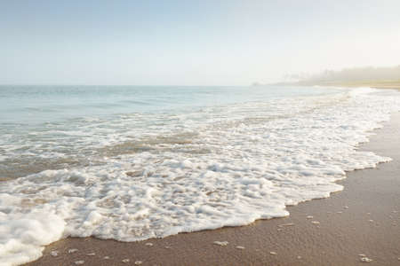 Panoramic view of the Baltic sea shore in a fog at sunrise. Beach, sand dunes. Soft sunlight. Idyllic summer seascape. Nature, environment, vacations, ecotourism, walking and exploring conceptsの写真素材