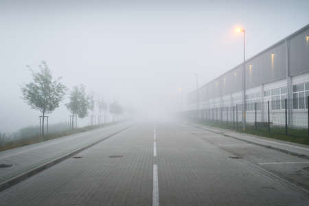 Asphalt road near the modern industrial buildings. Fog. Street lanterns. Cobblestone pedestrian walkway, alley, green trees. Street lanterns. Cityscape. Industry, infrastructure, ecology conceptsの写真素材