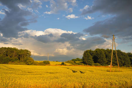 Epic sunset sky above the green plowed agricultural field and forest. Dramatic glowing clouds after...