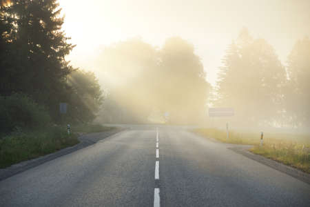 An empty highway (asphalt road) through the fields and forest in a fog at sunrise. Atmospheric landscape. Idyllic summer rural scene. Fickle weather, dangerous driving, road trip, vacations conceptsの写真素材
