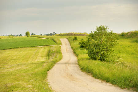 An empty rural road through the field and forest at sunset. Glowing sky after the rain. Tourism, road trip, freedom, vacations, logistics, remote places conceptsの写真素材
