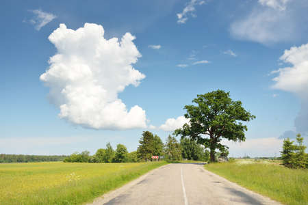 Country highway through the agricultural field and forest. Dramatic sky after the thunderstorm. Summer rural scene. Soft sunlight. Vacations, road trip, driving, journeyの写真素材