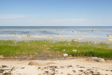 Panoramic view from the Baltic sea shore on a clear sunny summer day. Rocks close-up. Nature,...