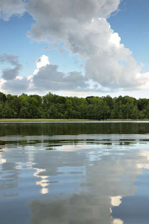 Panoramic view from the shore of a crystal clear forest lake (river). Idyllic summer landscape....