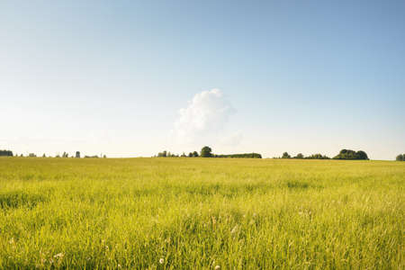 Green hills of a plowed agricultural field and forest. Idyllic summer rural scene. Dramatic sky...