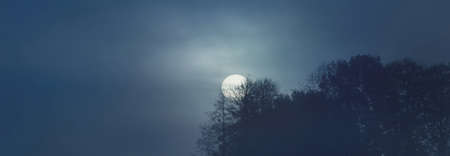 Full moon above the forest. Dark tree silhouettes. Mysterious fog and clouds. Creepy landscape. Concept image, fantasy, witchcraft, gothic, nightmare, mythology, silenceの写真素材