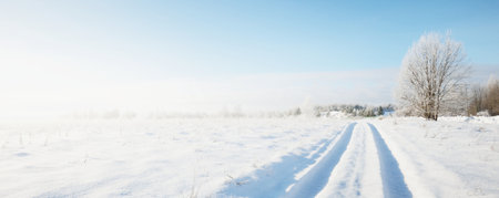Snow-covered single lane rural road through the fields on a sunny day. Finland. Clear blue sky. Deciduous and evergreen trees in hoarfrost in the background. Idyllic winter landscapeの写真素材
