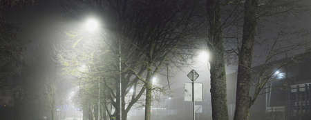 Street lanterns and traffic lights. Empty street at night. Concept urban scene. Infrastructure,...