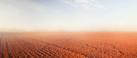 Agricultural plowed field and forest in a morning fog at sunrise. Clear blue sky. Golden autumn in...