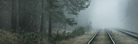 Creepy old railroad through the coniferous forest in a thick fog. Dark landscape. Panoramic view