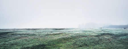 An empty green country field in a thick white morning fog. Frost and fresh snow on the ground. Warm winter. Concept image, environmental conservation, warm winter, climate change themeの写真素材