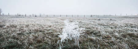 An empty green country field in a thick white morning fog. Frost and fresh snow on the ground. Warm...