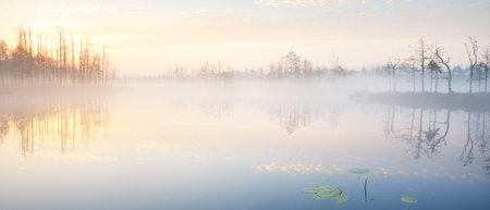 Ð¡rystal clear lake (bog) in a fog at sunrise. Evergreen forest. Symmetry reflections on the water, natural mirror, dark tree silhouettes. Idyllic autumn scene. Fantasy, fairy tale, dreamlandの写真素材