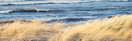 A view the Baltic sea shore at sunset. Sand dunes and plants close-up. Clear blue evening sky. Waves and water splashes. Idyllic seascape. Latviaの写真素材