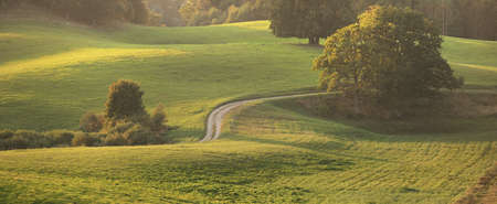 Picturesque panoramic scenery of the green hills and meadows (agricultural fields) at sunset. Forest in the background. Idyllic rural scene. Pastoral landscape. New Zealand. Tourism, nature ecologyの写真素材