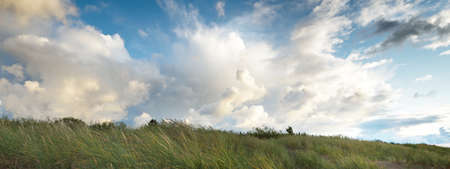 Blue sky with lots of glowing cumulus clouds above the Baltic sea shore after thunderstorm at sunset, green dune grass close-up. Idyllic landscape. Warm sunlight. Travel destinations, eco tourismの写真素材