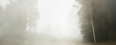 Picturesque monochrome scenery of the forest in a thick fog. Reflections on water. Atmospheric landscape. Fall season. Nature, ecology, environmental conservation in Latvia, Europeの写真素材