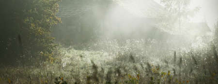 An old abandoned rustic house (cabin) in a fog at sunrise. Sun rays through the oak tree branches. Picturesque scenery. Idyllic rural scene. Fall season, concept art, architecture, eco tourism, natureの写真素材