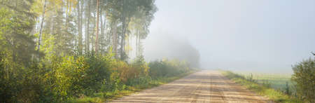 An empty dirt country road (alley) through the green forest and fields in a fog at sunrise. Pure morning light. Early autumn in Latvia. Fall season, seasons, travel, vacations, eco tourism themeの写真素材