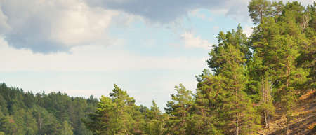 Rocky lakeshore and evergreen forest. Dramatic sky. Slandon, lake MÃ¤laren, Sweden. Pure nature,...