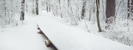 Modern wooden walkway (boardwalk) through the snow-covered forest after a blizzard. Winter landscape. Nordic walking, skiing, ecotourism. Christmas vacations, local travel during lockdown in Europeの写真素材