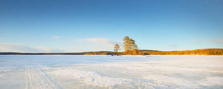 Frozen lake and snow-covered pine forest at sunset. Ice texture. Dramatic sky, soft sunlight. Idyllic winter scene. Nature, environmental conservation, ecology, climate change, ecotourism, Christmasの写真素材