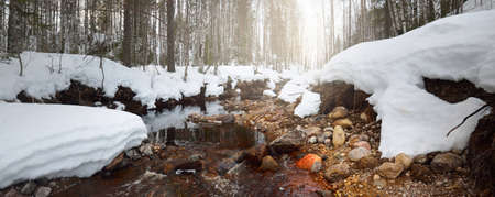 Wild river in a snow-covered forest. Stones close-up, crystal clear water. Idyllic winter scene. Nature, environmental conservation, ecology, climate change, ecotourism, Christmas conceptsの写真素材
