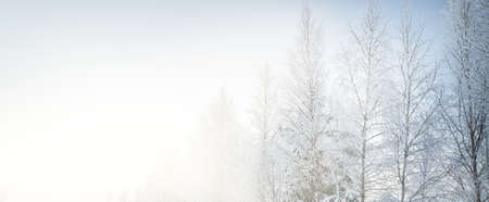 Snow-covered trees against clear blue sky after a blizzard, hoarfrost on tree branches, close-up. Winter wonderland. Weather, climate change, nature, environment, natural background, textureの写真素材