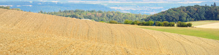 Panoramic view of the golden agricultural fields, green forest hills and village in the background....