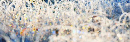 Forest floor of dry plants in hoarfrost, close-up. Sunny winter day. Seasons, climate change, ecology, botany. Natural white background. Macro photography. Panoramic image, graphic resourcesの写真素材