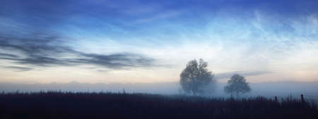 Starry sky with noctilucent clouds above the country field at summer solstice night in Finland. Lonely trees in a fog close-up. Beautiful flowing light. Fantastic cloudscape. Idyllic rural sceneの写真素材