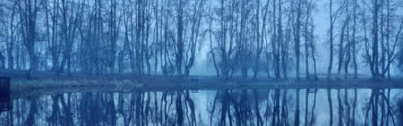 Twilight forest lake. Mighty trees, fog, mysterious light. Symmetry reflections on water. Dark atmospheric landscape. Picturesque panoramic sceneryの写真素材
