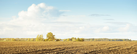 A pathway through the green plowed agricultural field under dramatic sky. Rural scene. Farm and food industry, alternative energy and production, environmental conservation themeの写真素材