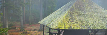 An alcove in a misty evergreen pine forest. France, Alsace. Atmospheric landscape. Picturesque scenery. Nature, ecotourism, ecology, environmental conservation, architectureの写真素材