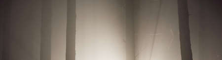 Majestic evergreen forest in a fog at night. Mysterious light. Atmospheric landscape. Loneliness,...