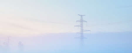 Field and young trees after deforestation in a thick fog at sunrise. Latvia. Electricity power line in the background. Concept landscape. Ecology, ecological issues, environment, environmental damageの写真素材