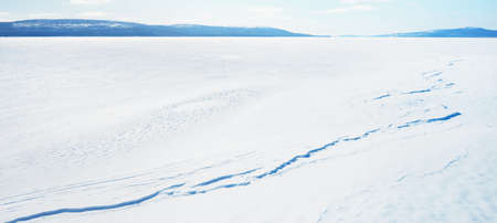 Young pine trees and a frozen lake after a blizzard on a clear day. Mountain peaks in the...