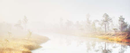 Aerial view of the lake and young pine tree forest in a morning fog at sunrise. Natural mirror. Pure golden light. Idyllic autumn landscape. Kemeri national park. Environmental conservation in Latviaの写真素材