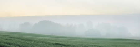 Green hills, plowed agricultural field with tractor tracks and forest at sunrise, close-up. Fog, haze. Soft golden sunlight. Autumn landscape. Idyllic rural scene. Nature, ecology, seasons, tourismの写真素材