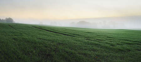 Green hills, plowed agricultural field with tractor tracks and forest at sunrise, close-up. Fog, haze. Soft golden sunlight. Autumn landscape. Idyllic rural scene. Nature, ecology, seasons, tourismの写真素材