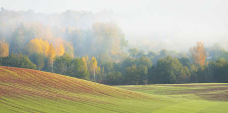 Green hills, plowed agricultural field with tractor tracks and forest at sunrise, close-up. Golden trees. Sunlight, fog, haze. Pastoral autumn landscape. Idyllic rural scene. Germanyの写真素材
